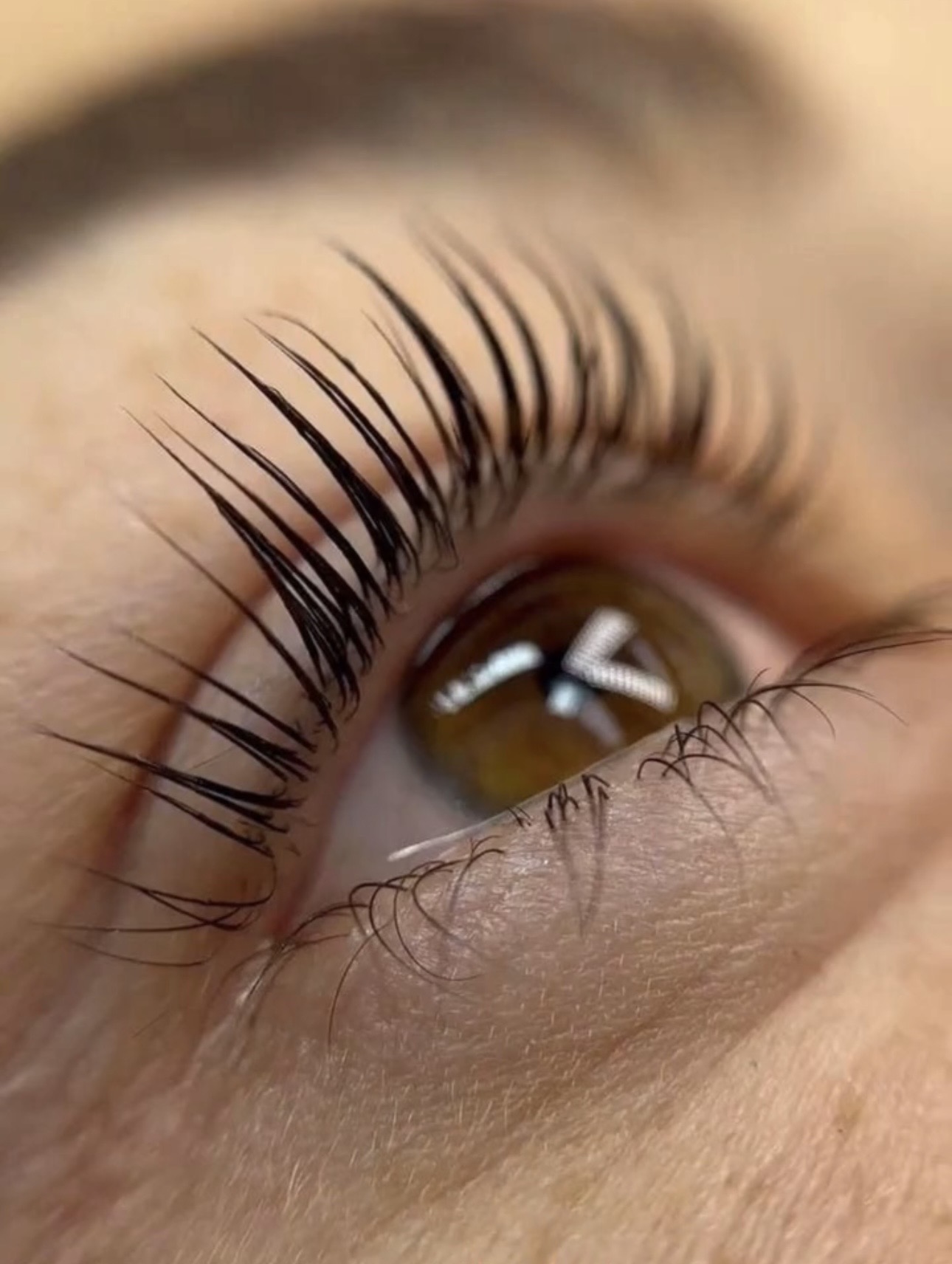Lifting Lash & Extensión de pestañas