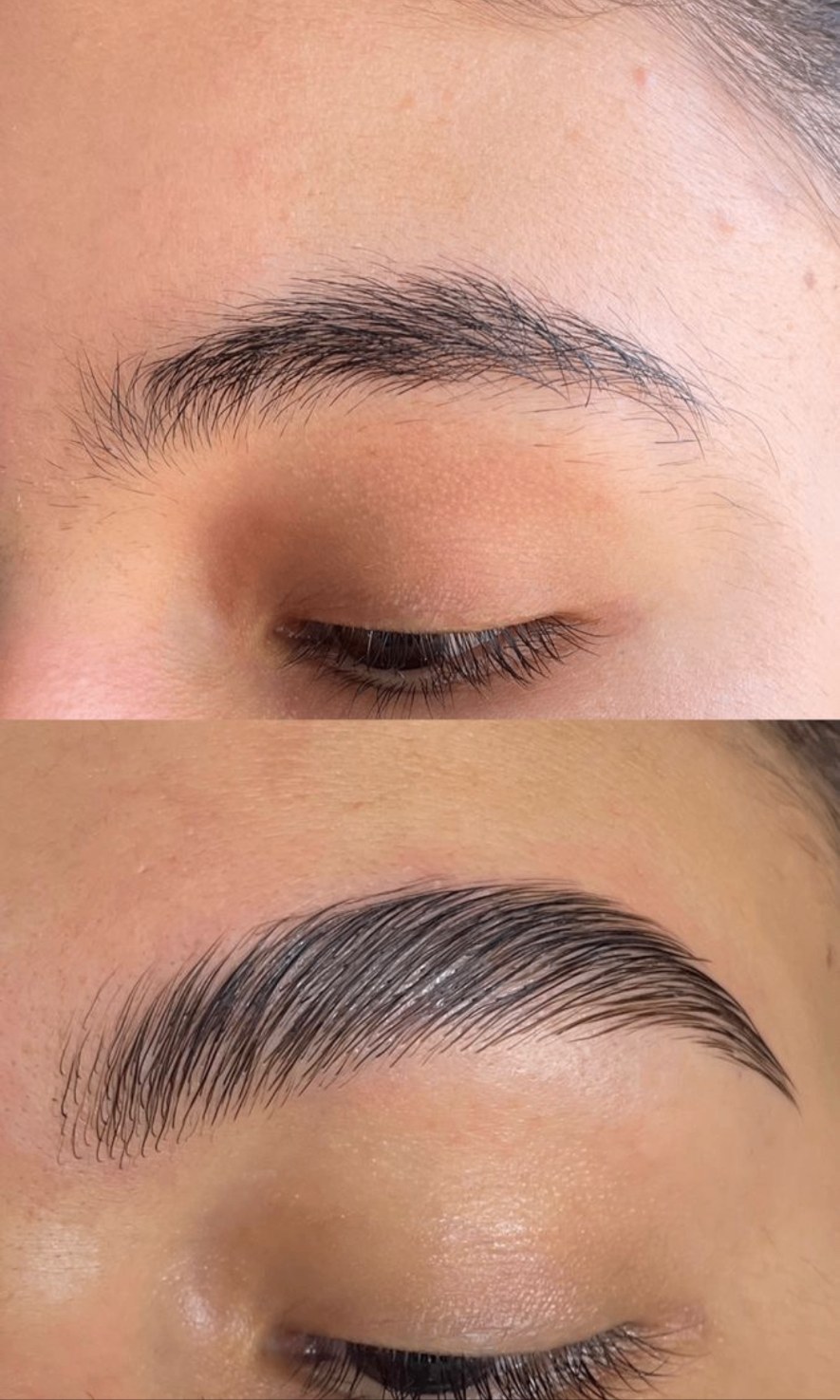 Laminado de cejas